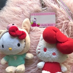 Sanrio Hello Kitty Package!